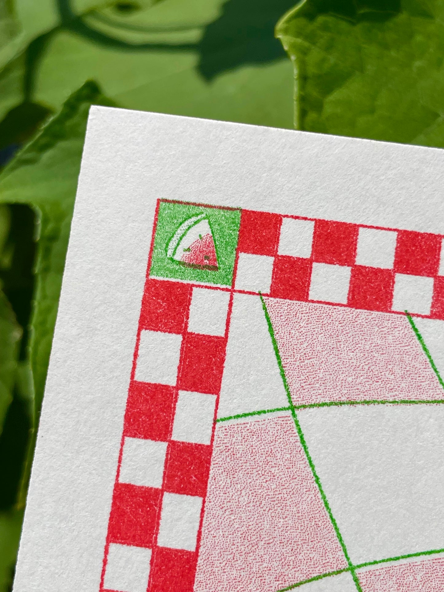 Pikmin Picnic Riso Print
