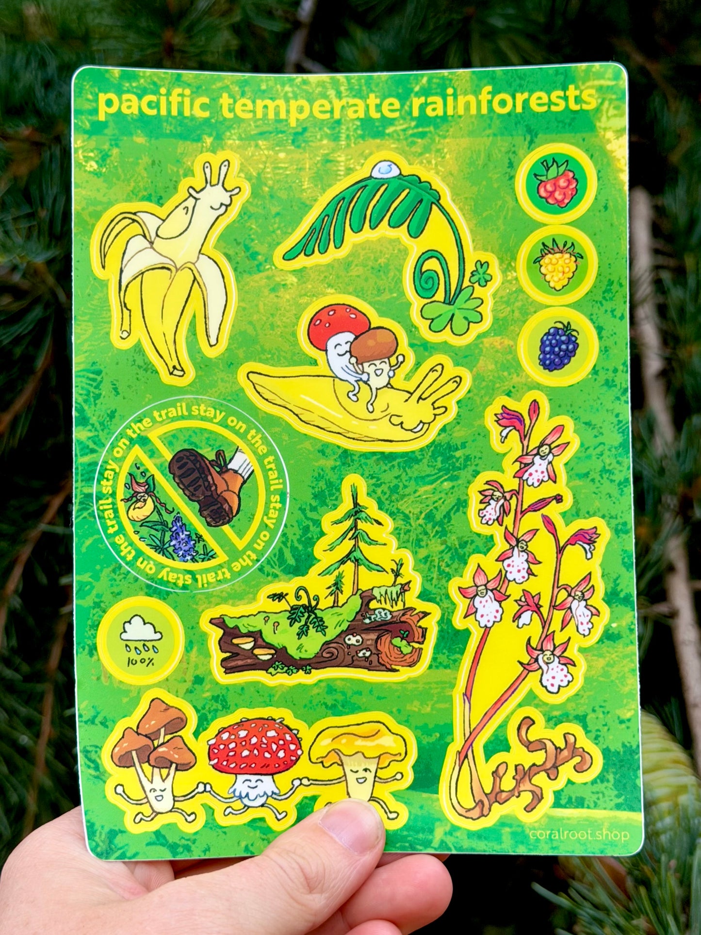 Pacific Temperate Rainforest Sticker Sheet