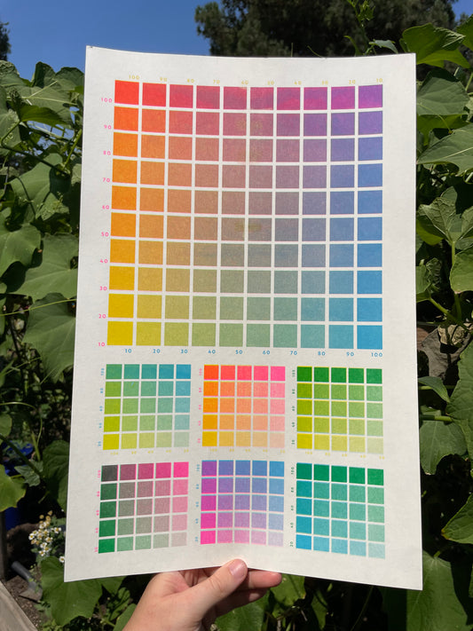 Riso Color Chart