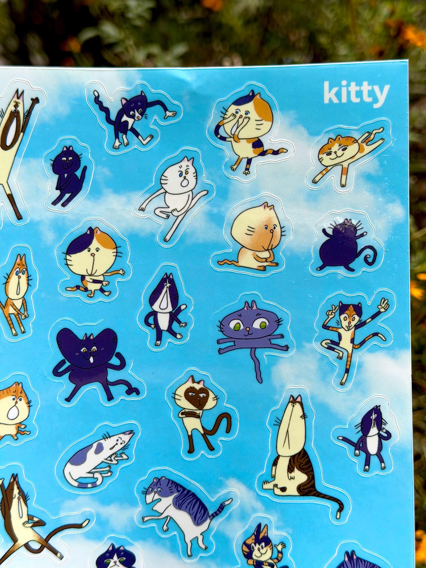 Kitty Sticker Sheet